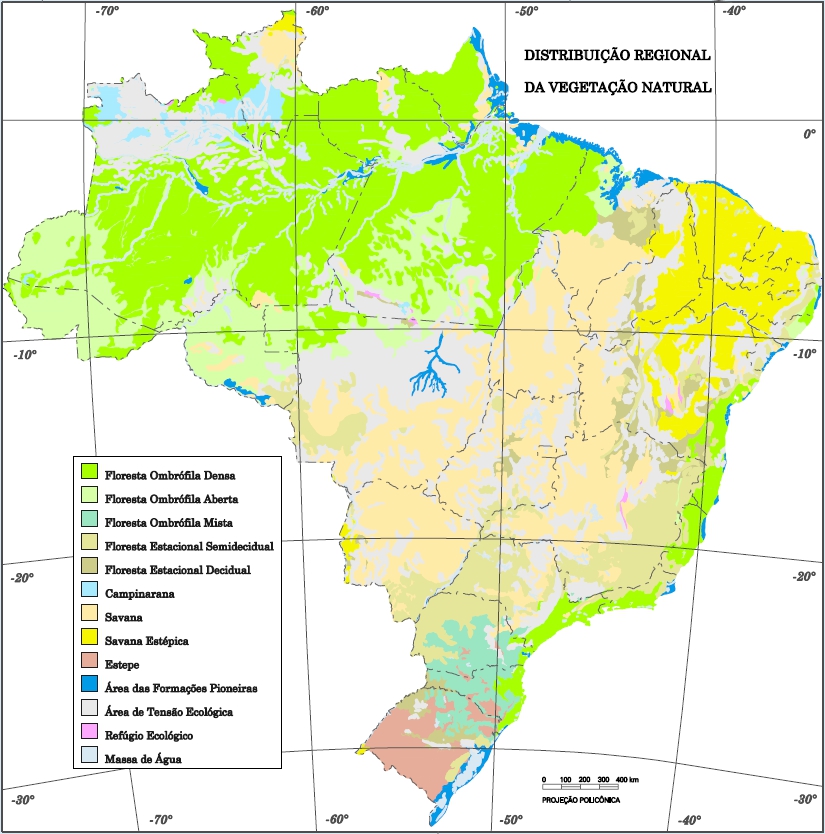 Tipos De Vegetação Curso De Dendrologia 7176