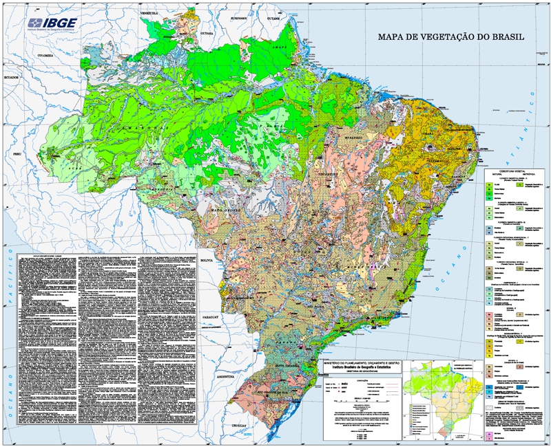 Mapa de Vegetação do Brasil (IBGE, 2004)